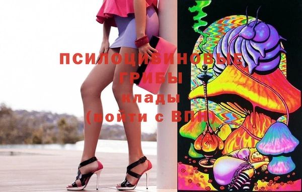 дурь Вязьма